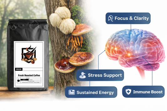 Medium and Dark Roast Mushroom Coffee — With Lion’s Mane, Cordyceps, and Reishi